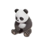 แพนด้า (Panda)